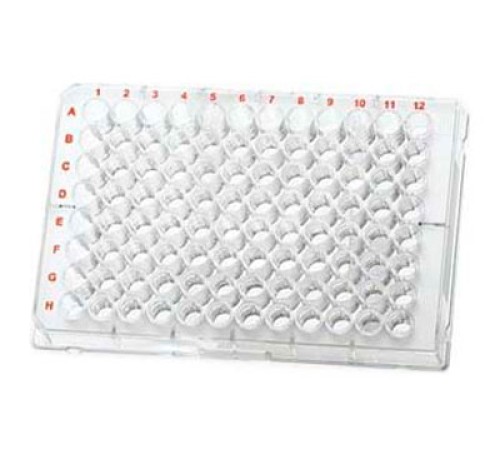 BRAND 781962 Микропланшет на 96 лунок, CellGrade, PS, прозрачный, F-образное дно, стерильный, 50 шт/упак BRAND 781962 Микропланшет на 96 лунок, CellGrade, PS, прозрачный, F-образное дно, стерильный, 50 шт/упак