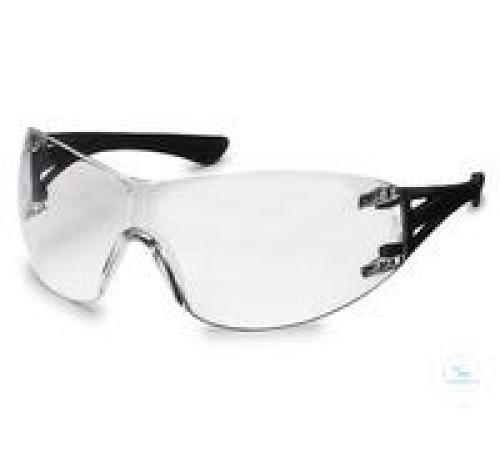 Купить 2502-1006 Защитные очки Burkle Стиль, черный