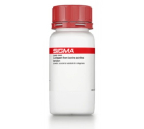Купить Коллаген из порошка ахиллова сухожилия крупного рогатого скота, пригодный в качестве субстрата для коллагеназы Sigma C4387