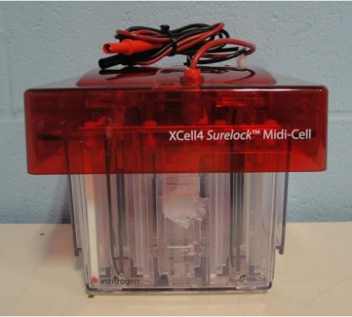 Купить Электрофорезная вертикальная камера XCell SureLock Midi-Cell, 8х13 см, 4 геля, Thermo FS