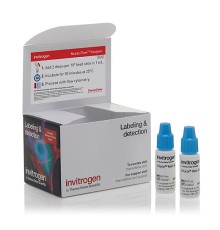 Набор FxCycle Violet Ready Flow Reagent, для проточной цитометрии, 2х2,5 мл, 120 тестов, Thermo FS