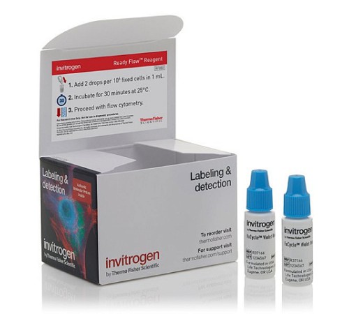 Купить Набор FxCycle Violet Ready Flow Reagent, для проточной цитометрии, 2х2,5 мл, 120 тестов, Thermo FS