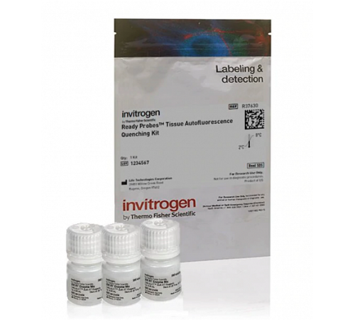 Купить Набор для снижения автофлуоресценции ReadyProbes Tissue Autofluorescence Quenching Kit