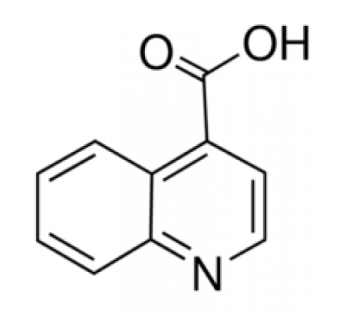 Хинолин-4-карбоновая кислота, 97%, Maybridge, 250мг