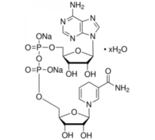 -Никотинамидадениндинуклеотид, восстановленный гидрат динатриевой соли 97% (ВЭЖХ) Sigma N8129