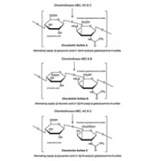 Хондроитиназа AC из лиофилизированного порошка Flavobacterium heparinum, 0,5-1,5 Единиц / мг твердого вещества (при использовании хондроитинсульфата A в качестве субстрата, также расщепляющего хондроитинсульфат C) Sigma C2780