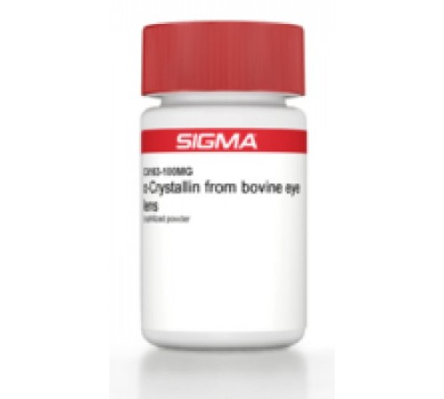 Купить βКристаллин из линз бычьего глаза лиофилизированный порошок Sigma C4163
