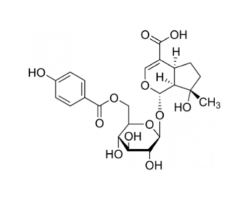 6 '- (п-Гидроксибензоил) муссаенозидовая кислота 95% (ЖХ / МС-ELSD) Sigma SMB00159