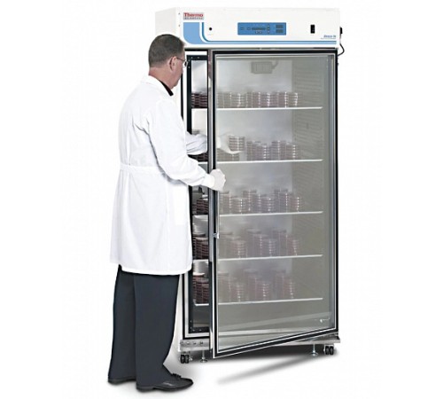 Купить CO2-инкубатор, 821 л, прямой нагрев, ТК-датчик, Reach-In, Thermo FS