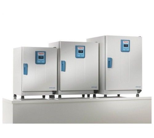Купить Термостат 194 л, до +75 °С, естественная вентиляция, IGS180 General Protocol, Thermo FS