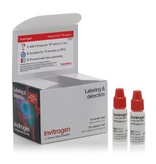 Набор SYTOX AADvanced Ready Flow Reagent, для проточной цитометрии, 2х2,5 мл, 120 тестов, Thermo FS