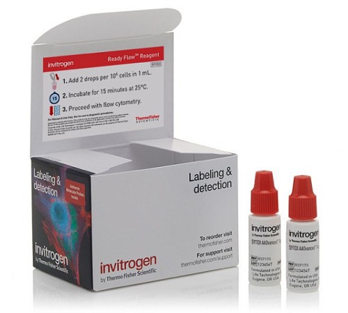 Купить Набор SYTOX AADvanced Ready Flow Reagent, для проточной цитометрии, 2х2,5 мл, 120 тестов, Thermo FS