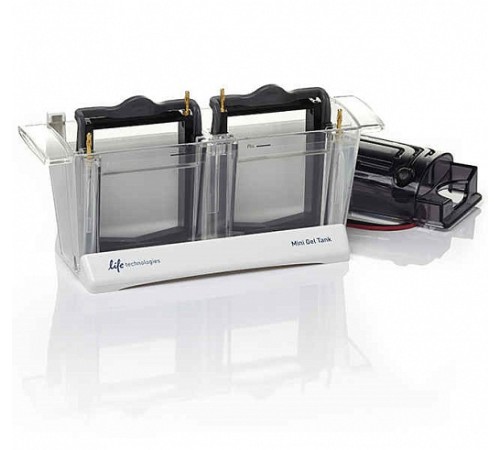 Купить Электрофорезная вертикальная камера Mini Gel Tank, 8х8 см, 2 геля, Thermo FS