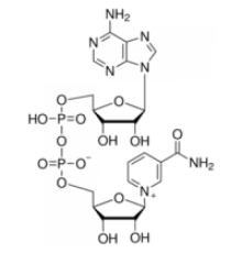 -никотинамидадениндинуклеотидгидрат степени AA-1, 95% (ВЭЖХ) Sigma N7381
