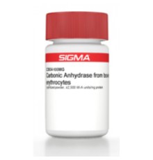 Карбоангидраза из лиофилизированного порошка эритроцитов крупного рогатого скота, 2000 единиц WA / мг белка Sigma C3934