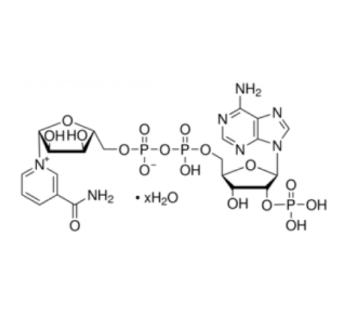 -никотинамидадениндинуклеотидфосфат гидрат Sigma N5755