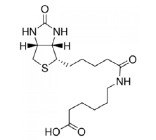 β (+β Биотинил-6-аминогексановая кислота 97,0% (ВЭЖХ) Sigma 14407