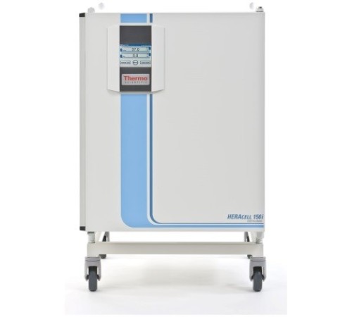 Купить CO2-инкубатор, 150 л, прямой нагрев, ТК-датчик, влажная стерилизация, камера из нержавеющей стали, Heracell 150i, Thermo FS