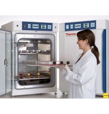 CO2-инкубатор, 184 л, водяная рубашка, ИК-датчик, 8000 WJ 3423, Thermo FS