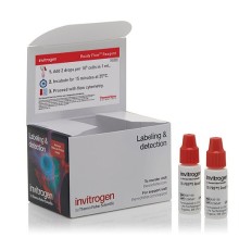 Набор TO-PRO 3 Ready Flow Reagent, для проточной цитометрии, 2х2,5 мл, 120 тестов, Thermo FS