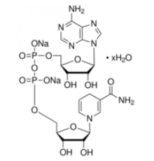 -никотинамидадениндинуклеотид, восстановленный гидрат динатриевой соли ~ 98%, упаковка по 100 мкг Sigma N1161