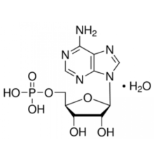 Моногидрат аденозин-5'-монофосфата из дрожжей, 97% Sigma A2252
