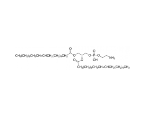 1,2-диерукоил-sn-глицеро-3-фосфоэтаноламин 98% (ТСХ) Sigma 74576