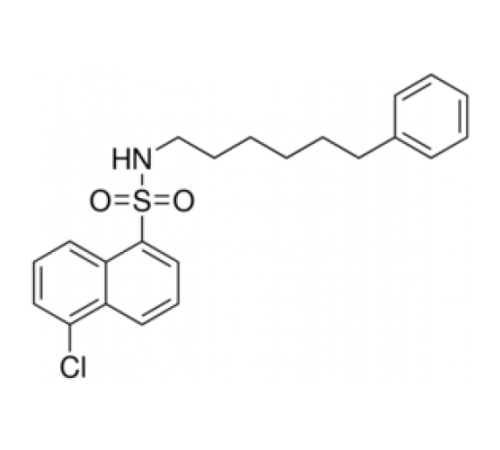 N- (6-фенилгексилβ5-хлор-1-нафталинсульфонамид Sigma P2803 N- (6-фенилгексилβ5-хлор-1-нафталинсульфонамид Sigma P2803