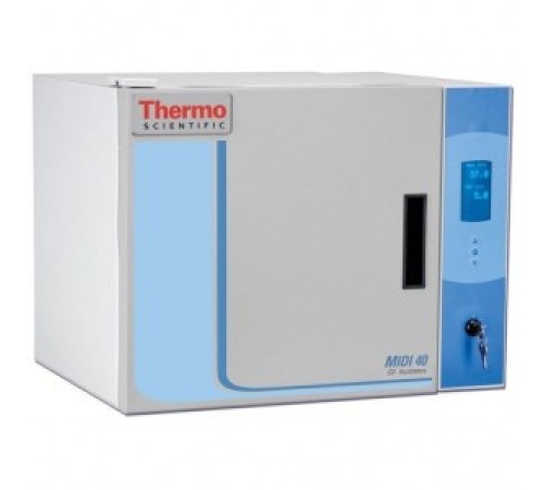Купить CO2-инкубатор, 40 л, прямой нагрев, ТК-датчик, Midi 40 Compact, Thermo FS