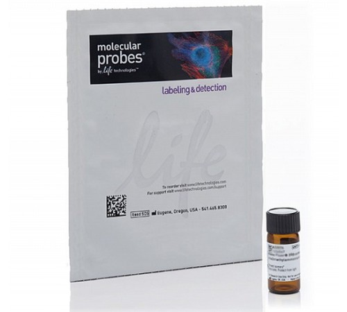 Купить Краситель Хехст 33258, Pentahydrate (bis-Benzimide), Molecular Probes