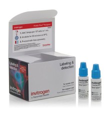 Набор Vybrant DyeCycle Violet Ready Flow Reagent, для проточной цитометрии, 2х2,5 мл, 120 тестов, Thermo FS