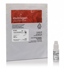 Реагент, препятствующий выцветанию PProLong Glass Antifade Mountant with SYTOX Deep Red