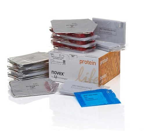 Купить Мембраны iBlot Transfer Stack, для переноса белков, 0,2 мкм, нитроцеллюлоза, 8 x 8 см, Thermo FS