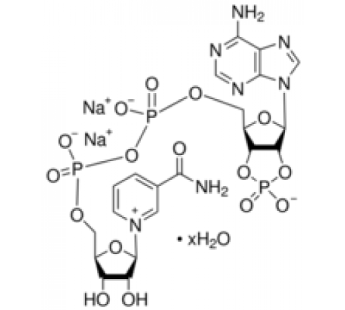 -никотинамидадениндинуклеотид 2 ': 3'-гидрат динатриевой соли циклического монофосфата 95% Sigma N5257