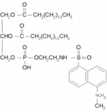 ββ фосфатидилэтаноламин, дипальмитоил, N-дансил 2 мкг / мл в хлороформе / метаноле (4: 1), ~ 98% Sigma P3656