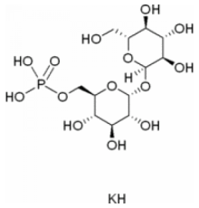 Дикалиевая соль трегалозы-6-фосфата ~ 95% Sigma T4272