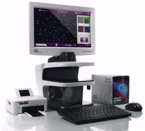 Купить Система визуализации Evos FLoid, механический столик, 1 объектив x20, Thermo FS