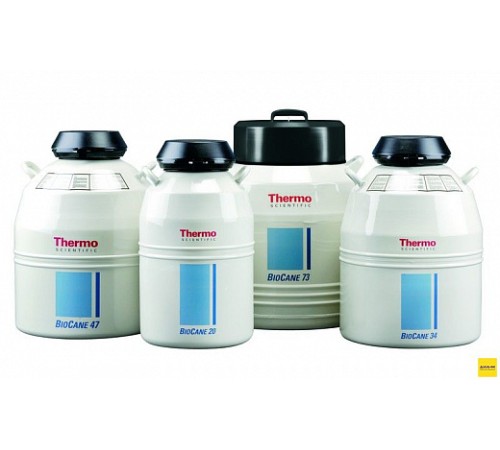 Купить Криохранилище 20,5 л, 150 образцов, d горла 51 мм, Bio-Cane 20, Thermo FS