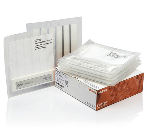 Купить Мембраны iBind Flex Cards, 10 шт./уп., Thermo FS