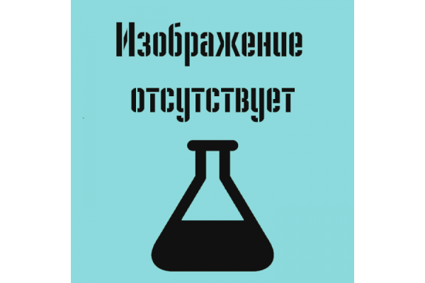Купить Гиря Р 10 кг E2 Д-С