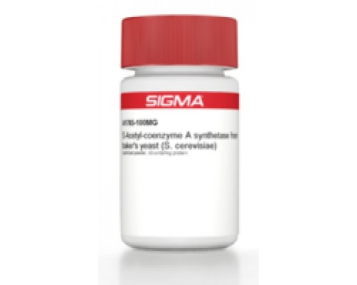 S-ацетил-кофермент Синтетаза из лиофилизированного порошка пекарских дрожжей (S.cerevisiae), 3 Единиц / мг белка Sigma A1765