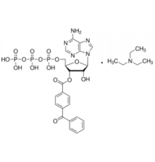 2 '(3'β O- (4-Бензоилбензоил) аденозин 5'-трифосфат триэтиламмониевая соль 93% Sigma B6396