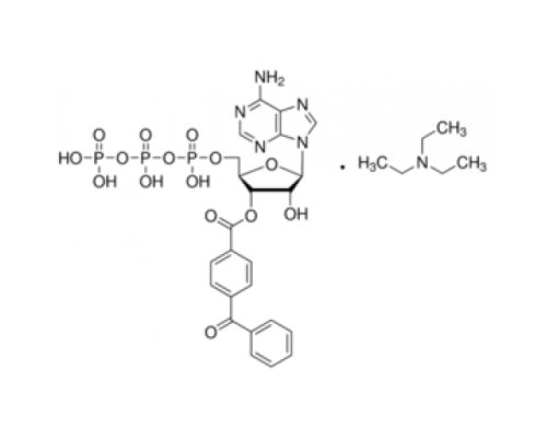 2 '(3'β O- (4-Бензоилбензоил) аденозин 5'-трифосфат триэтиламмониевая соль 93% Sigma B6396