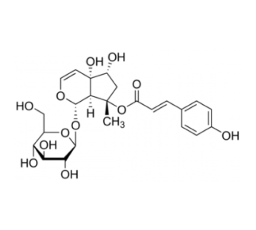 Купить 8-O-4-гидроксициннамоилгарпагид 95% (ЖХ / МС-ELSD) Sigma SMB00152