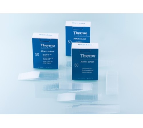 Купить Стекло предметное, 26?76?1 мм, шлиф. кр. 45°, 50 шт/уп., Thermo FS