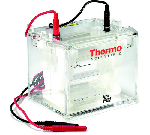 Купить Электрофорезная вертикальная камера Owl P82 Dual-Gel, 8-10х10 см, 2 геля, Thermo FS