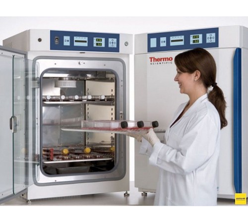 Купить CO2-инкубатор, 184 л, водяная рубашка, ИК-датчик, мультигазовый, 8000 WJ 3427, Thermo FS