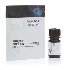 Краситель Хехст 33258, Pentahydrate (bis-Benzimide), раствор в воде, 10 мг/мл