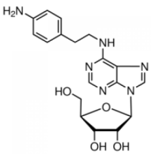 N6-2- (4-аминофенил) этиладенозин> 95% Sigma A202