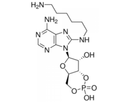 8- (6-Аминогексил) аминоаденозин 3 ': 5'-циклический монофосфат ~ 98% Sigma A8138